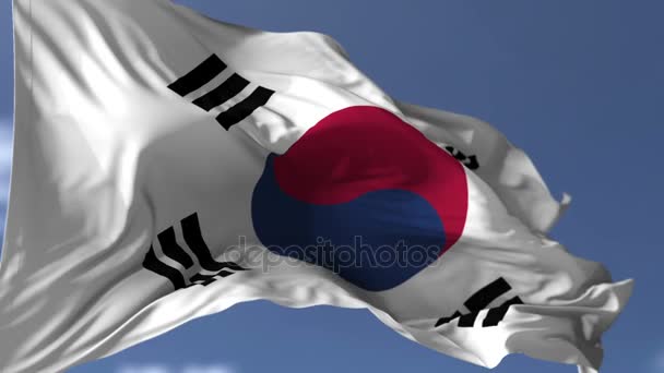 韓国の旗 — ストック動画