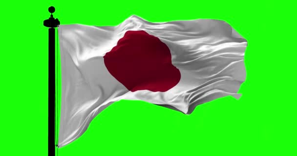 Flag of Japan on Green — Stock Video