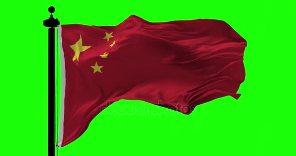 Çin yeşil bayrağı — Stok video