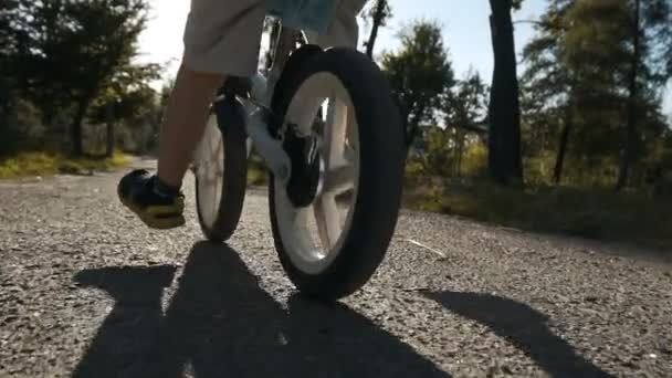 Kid cyklar i parken — Stockvideo