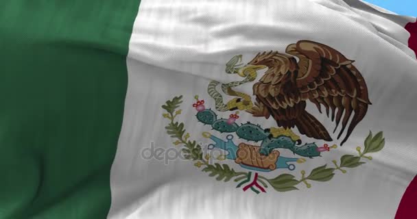 墨西哥国旗在风中 — 图库视频影像