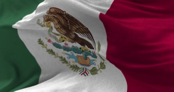 Mexico vlag in de wind — Stockvideo
