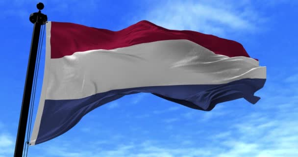 Bandera de Holanda en el viento — Vídeos de Stock