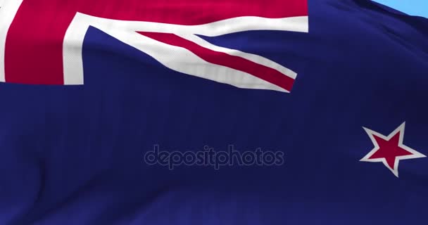 New Zealand Flag in the Wind — Stock Video