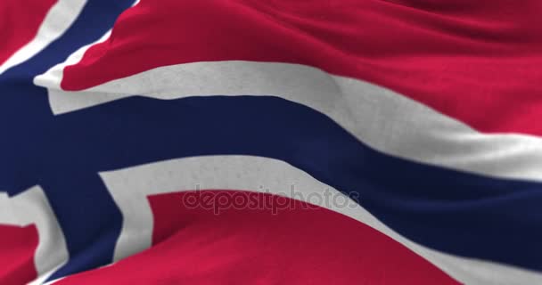 Norwegische Flagge im Wind — Stockvideo