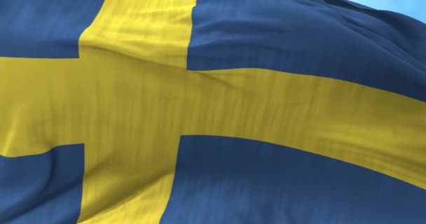 瑞典国旗在风中 — 图库视频影像