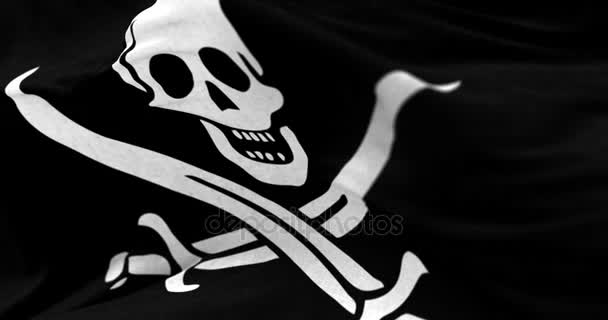 Bandera pirata en el viento — Vídeo de stock