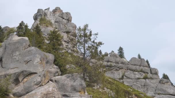 Felsige Berge im Wald — Stockvideo