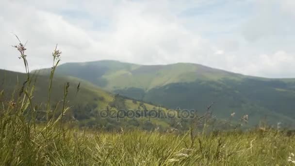美丽的山景 — 图库视频影像
