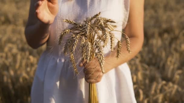 Mujer sosteniendo ramo de trigo — Vídeos de Stock