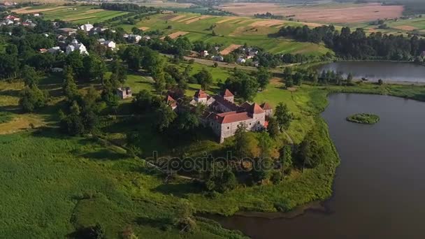 Alte Hügelburg Antenne — Stockvideo