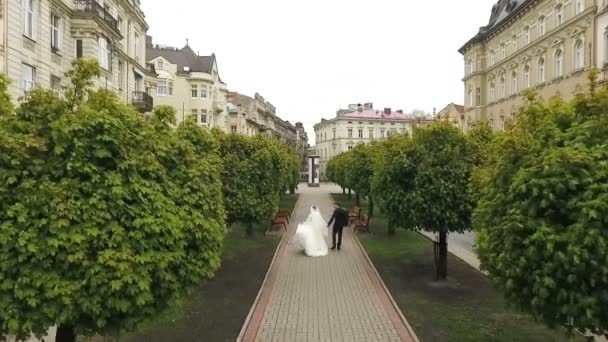 Evlilik çift ağaçlar sokak yürüyüş — Stok video