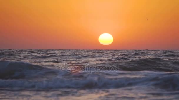 De kust van de zee zonsopgang — Stockvideo