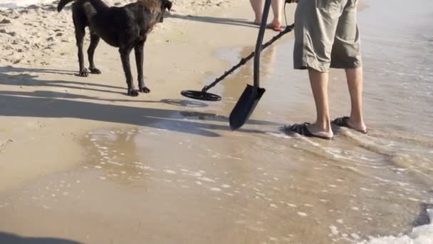 Man with Metal Detector on the Beach — Stock Video
