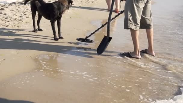 Mannen med metalldetektor på stranden — Stockvideo