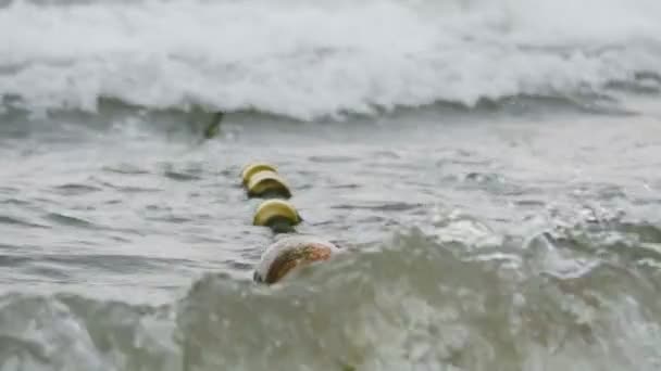 Corda Bouys no mar — Vídeo de Stock