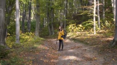 Turist Enjoys orman yaprakları düşüyor süre