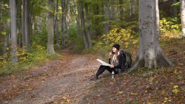 Touriste Prendre le thé en bois — Video