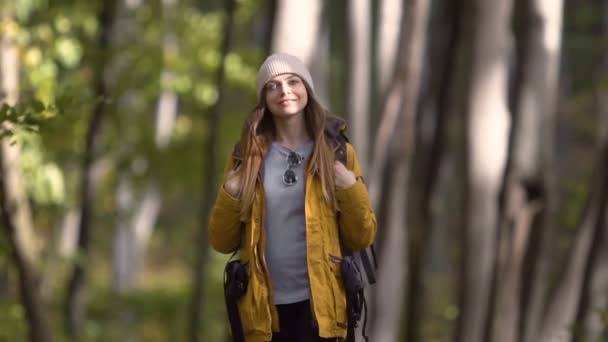 Paseos turísticos relajados en el bosque — Vídeos de Stock