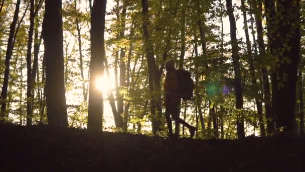 Touristin spaziert durch Wald — Stockvideo