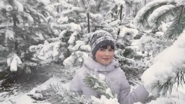 Roztomilá dívka v zimě lese — Stock video