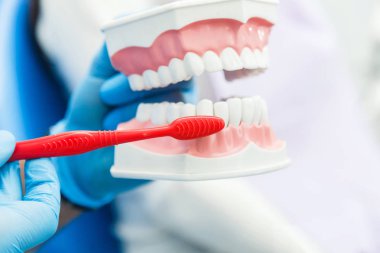 Diş hekimi nasıl dişleri temizlemek için gösterir