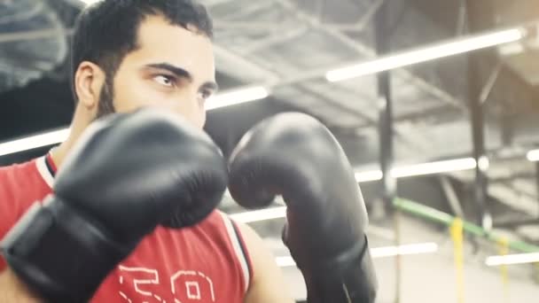 Boxeador tiene entrenamiento — Vídeo de stock
