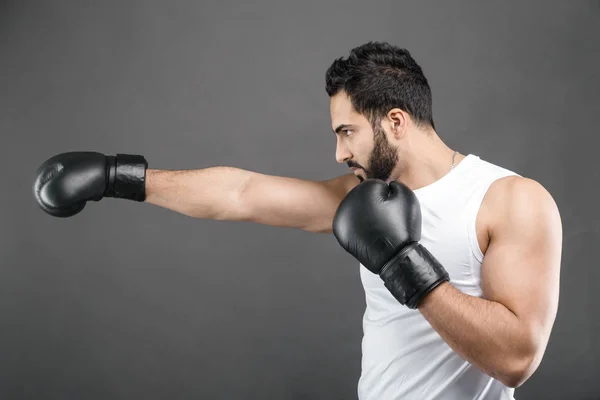 O Boxer Man — Fotografia de Stock