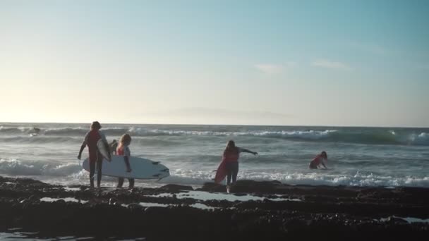 Surfistas na costa oceânica — Vídeo de Stock