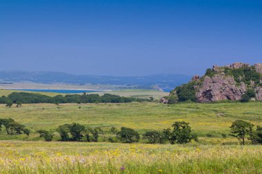 Yaz peyzaj ağaçları ve kayaları