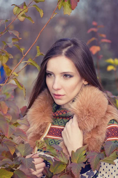 Portrait Une Belle Fille Dans Les Feuilles Jaunes Automne — Photo