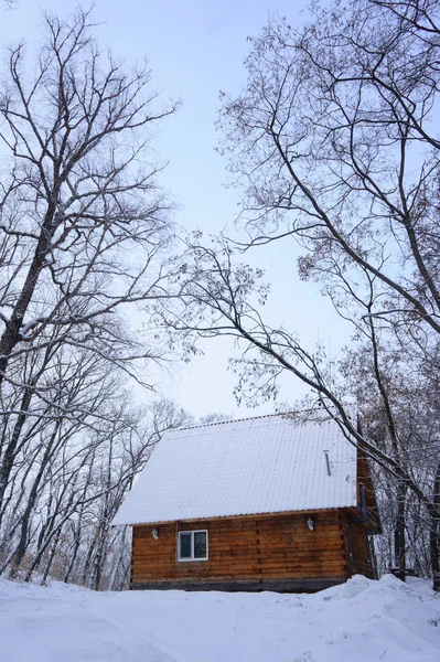 Small House Winter Forest — Stock Photo, Image