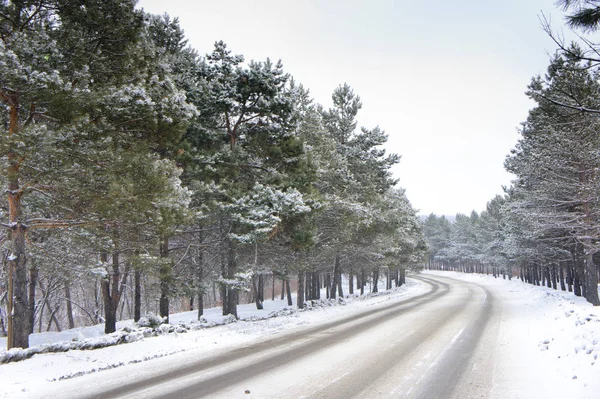Scenic View Winter Road — Stock Photo, Image