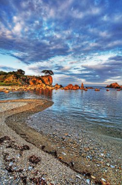 Rus Primorye deniz kenarı. Vladivostok yakınlarında. Andreevka Köyü.