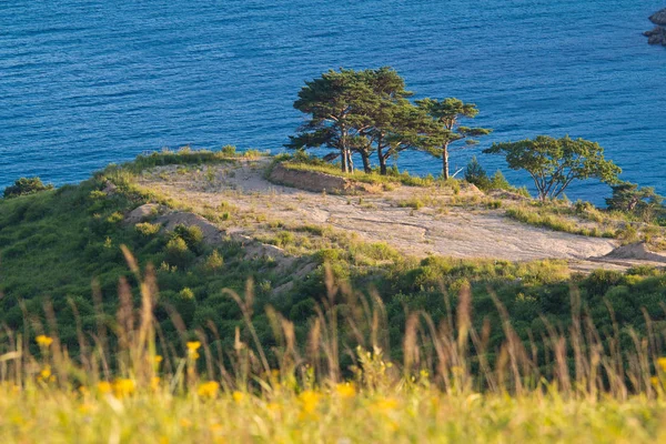 Hermosas Vistas Orilla Del Mar —  Fotos de Stock