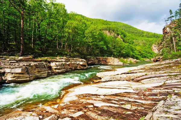 Paesaggio Estivo Fiume Selvaggio Montagna — Foto Stock