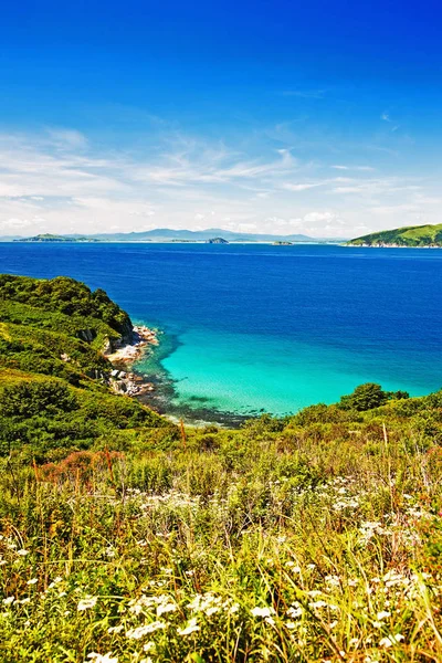 Waterscape Foresta Smeraldo Blu Marino Combina Sottile Striscia Spiaggia — Foto Stock