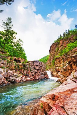 Yaz peyzaj, vahşi dağ Nehri