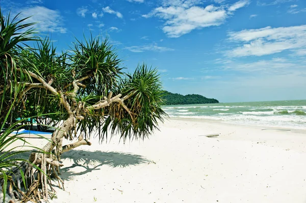 Cênica Praia Tropical Vietnã — Fotografia de Stock