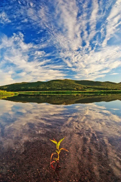 Vista Panorâmica Das Nuvens Refletidas Água — Fotografia de Stock