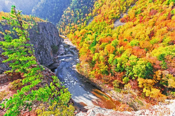 Autumn Landscape Stormy Mountain River — Stock Photo, Image