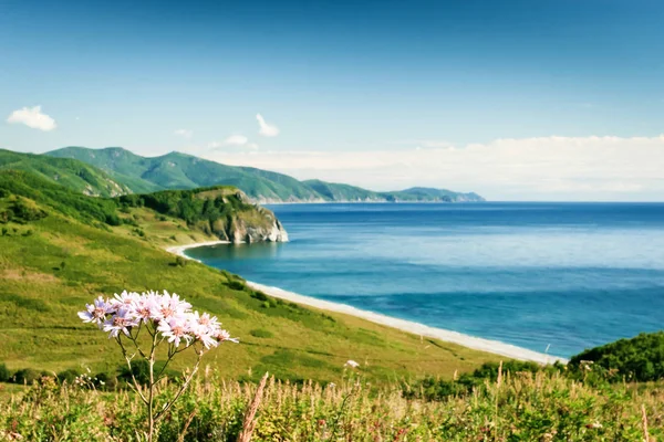 Beautiful Views Bay — Stock Photo, Image