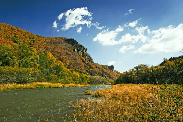 Schöne Herbstlandschaft Gebirgsbach Herbstwald — Stockfoto