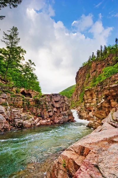 Yaz Peyzaj Vahşi Dağ Nehri — Stok fotoğraf