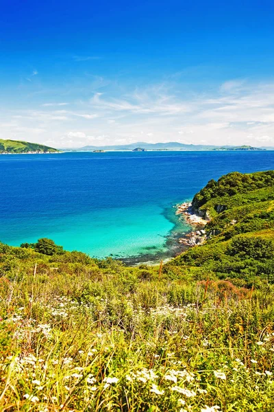 Waterscape Foresta Smeraldo Blu Marino Combina Sottile Striscia Spiaggia — Foto Stock
