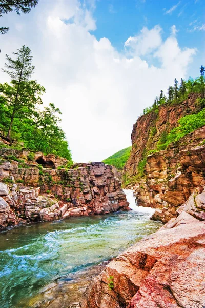 夏の風景 野生の山の川 — ストック写真
