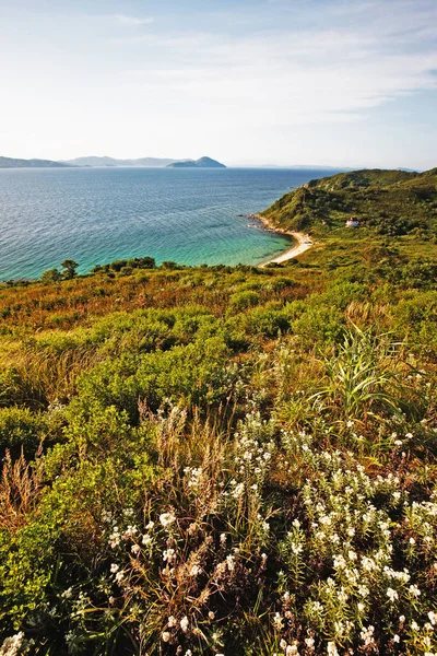 Paisaje Acuático Bosque Esmeralda Azul Marino Combinan Delgada Franja Playa —  Fotos de Stock