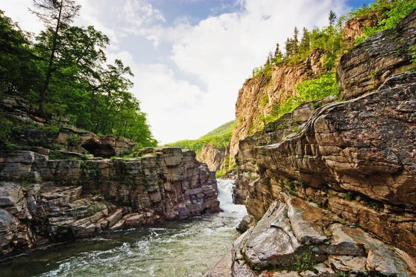 Paysage Été Rivière Sauvage Montagne — Photo