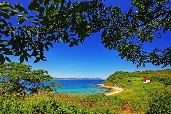 Waterscape Smaragdgroene Bos Marine Blauwe Combineert Dunne Strook Strand — Stockfoto