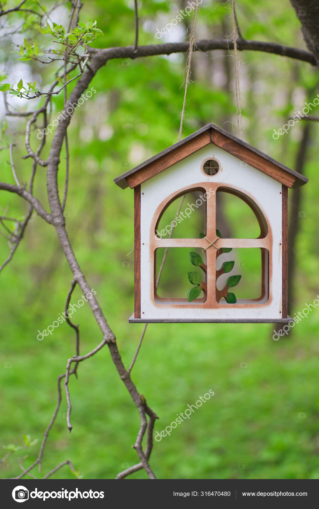 Bird Feeder Summer Woods — Stock Photo © GalinaGGM 316470480